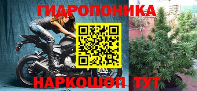 ПСИЛОЦИБИНОВЫЕ ГРИБЫ Волгодонск