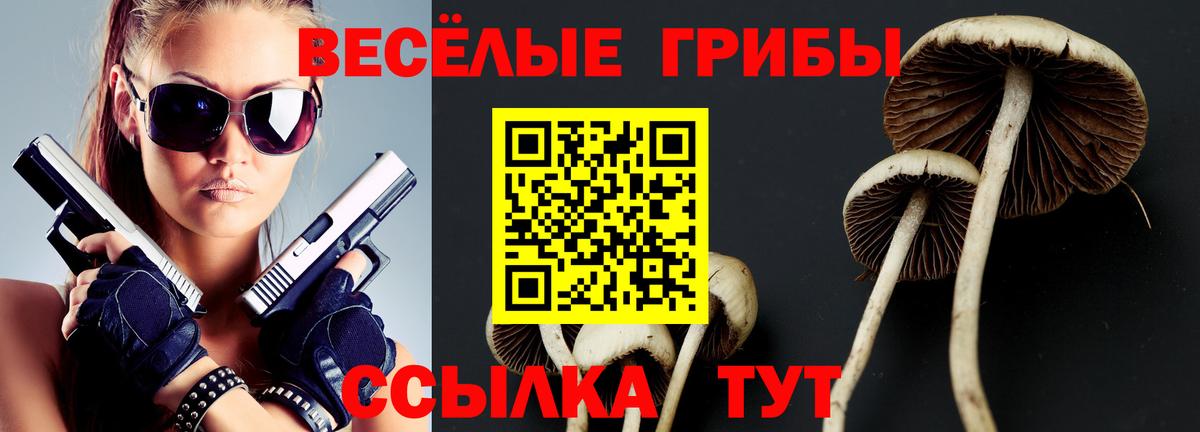 Пермь  Псилоцибиновые грибы MAGIC MUSHROOMS  Вход с VPN 